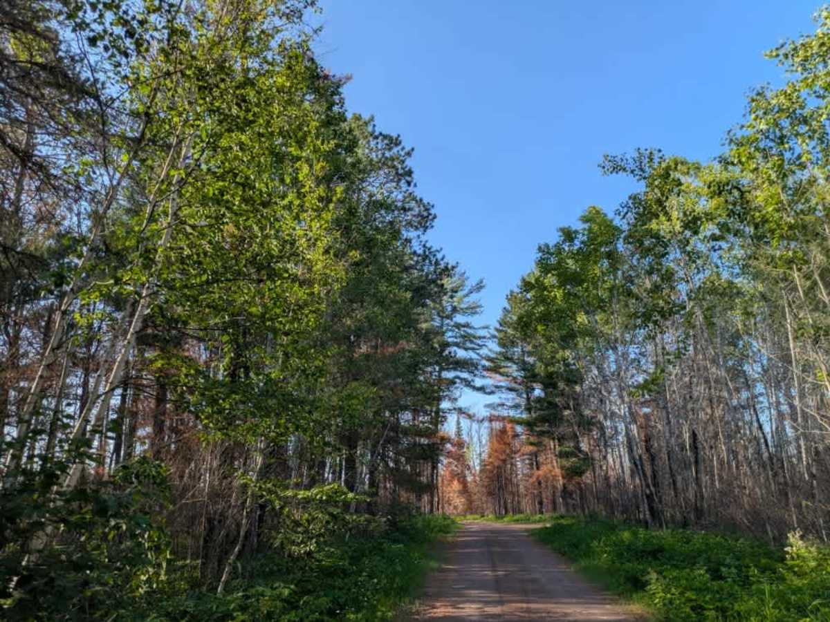 Township Road 6211 photo 3