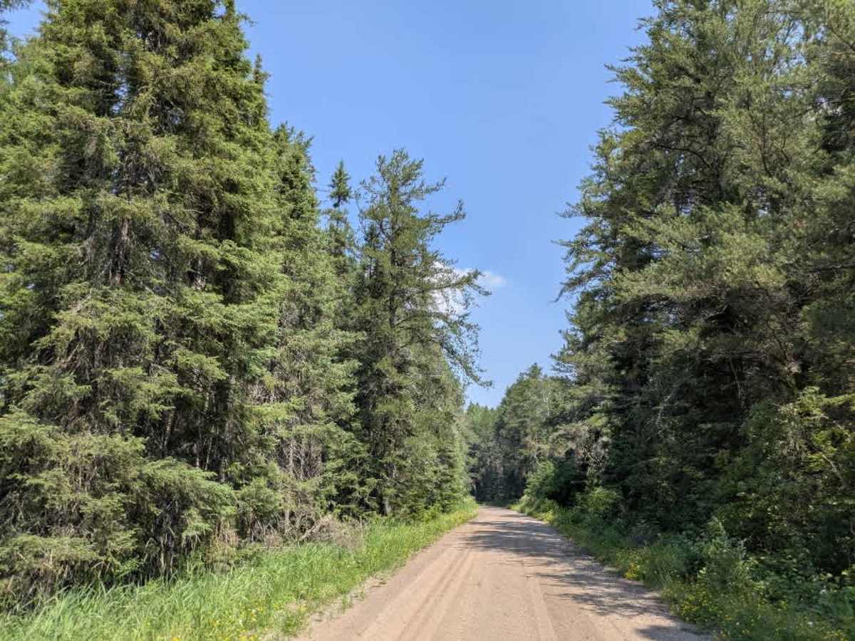 Tomahawk Road trail photo