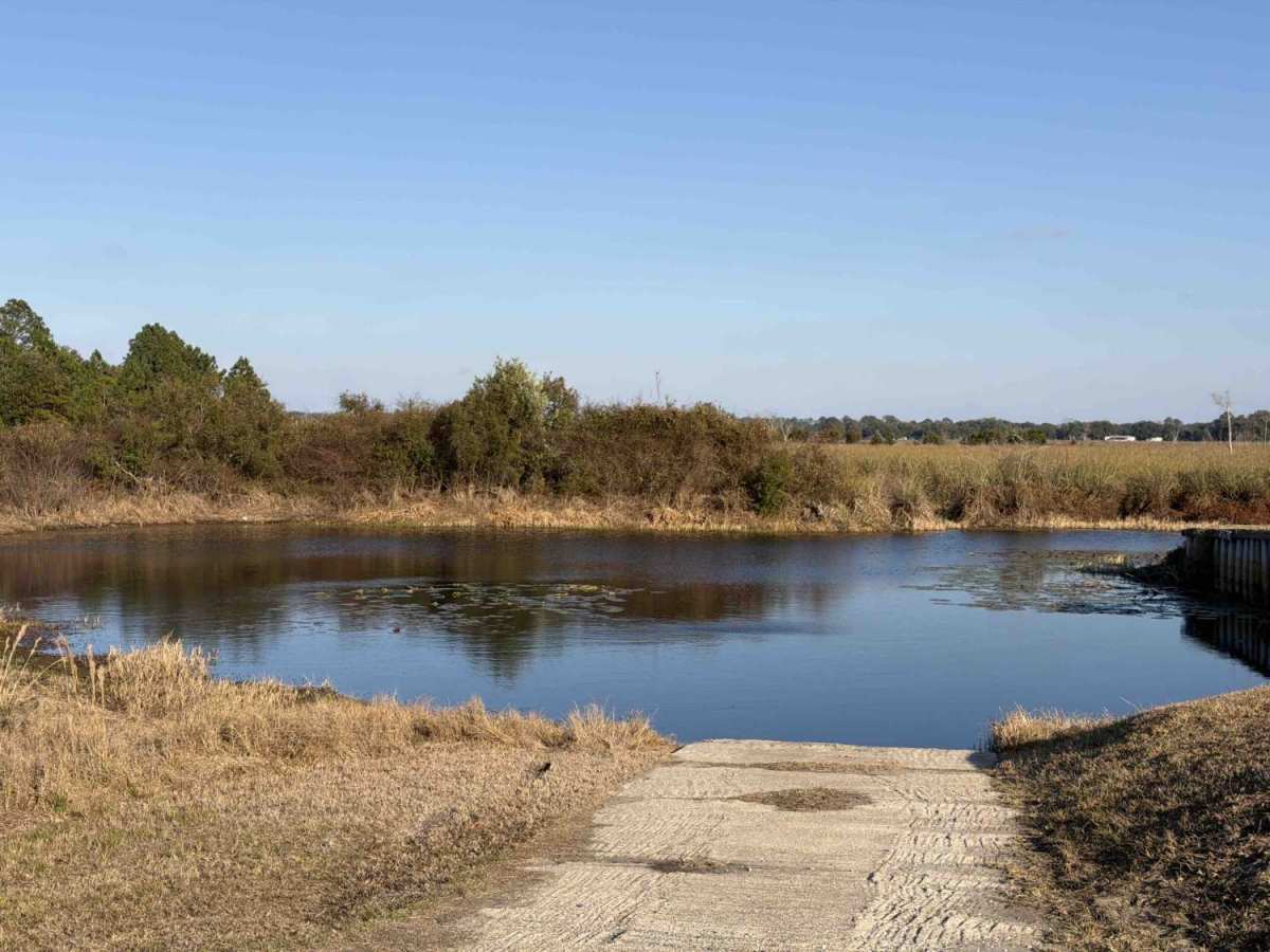 Lake Kerr Key - FS 316 photo 3