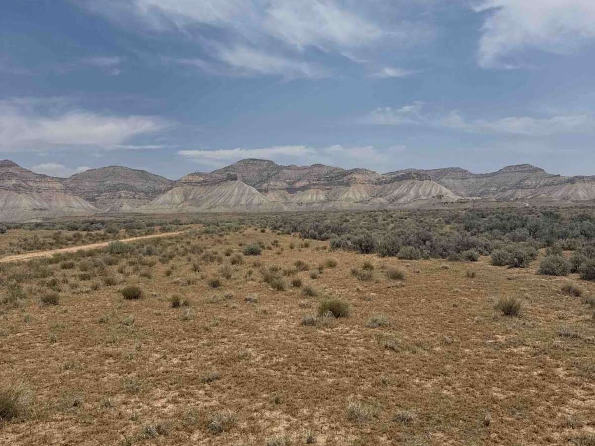 BLM 114 trail photo