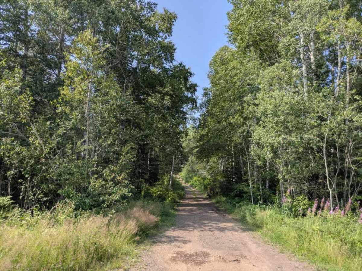 Fall River Spur E trail photo