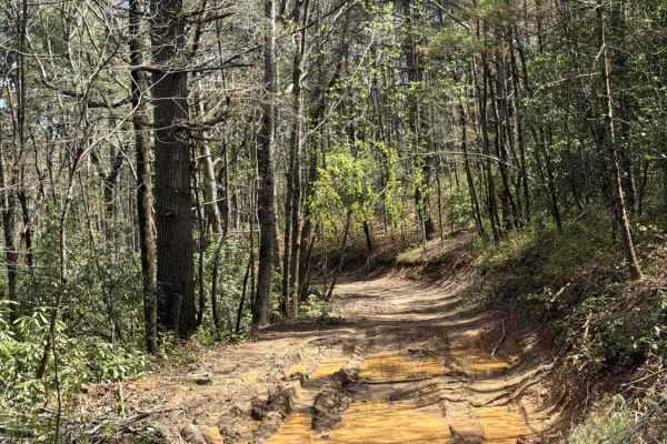 Stonewall Knob - FS 416