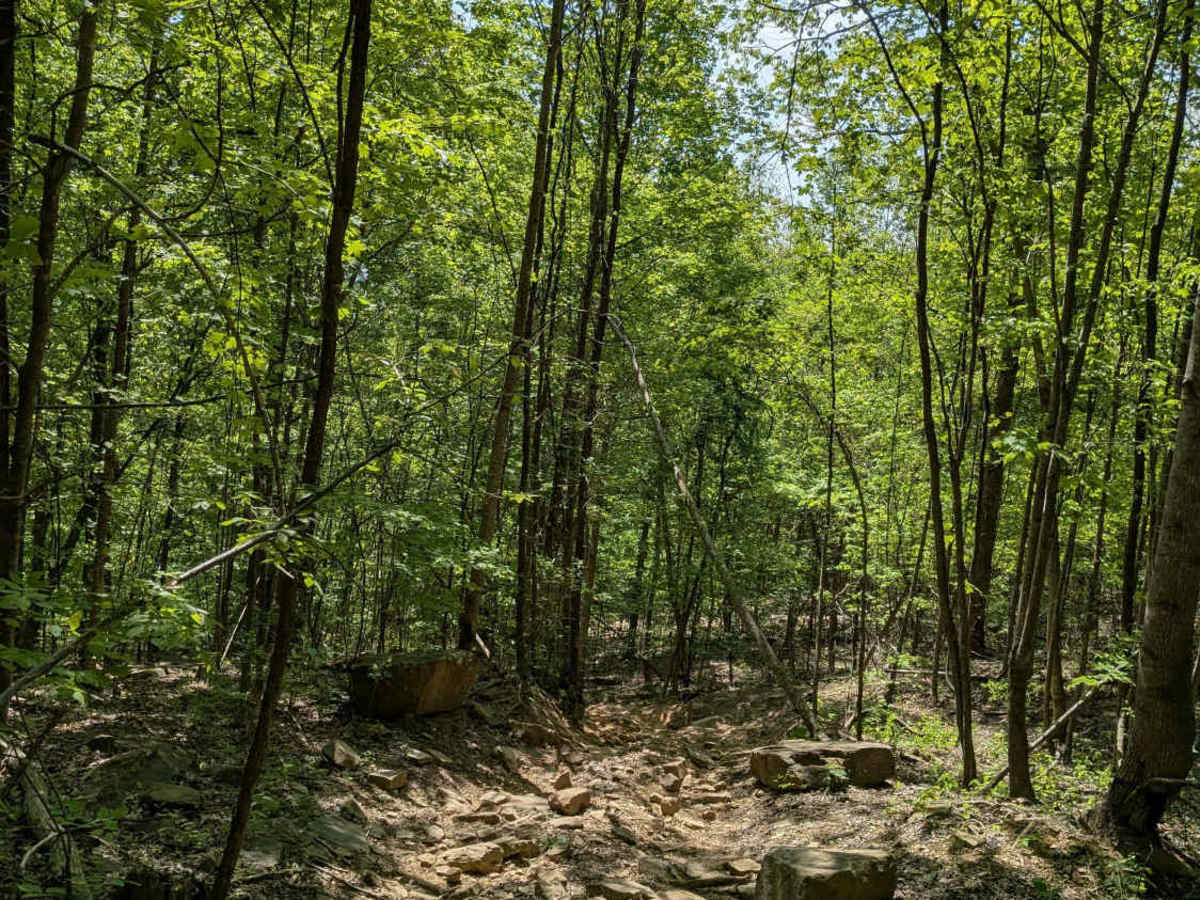 Trail 30 trail photo
