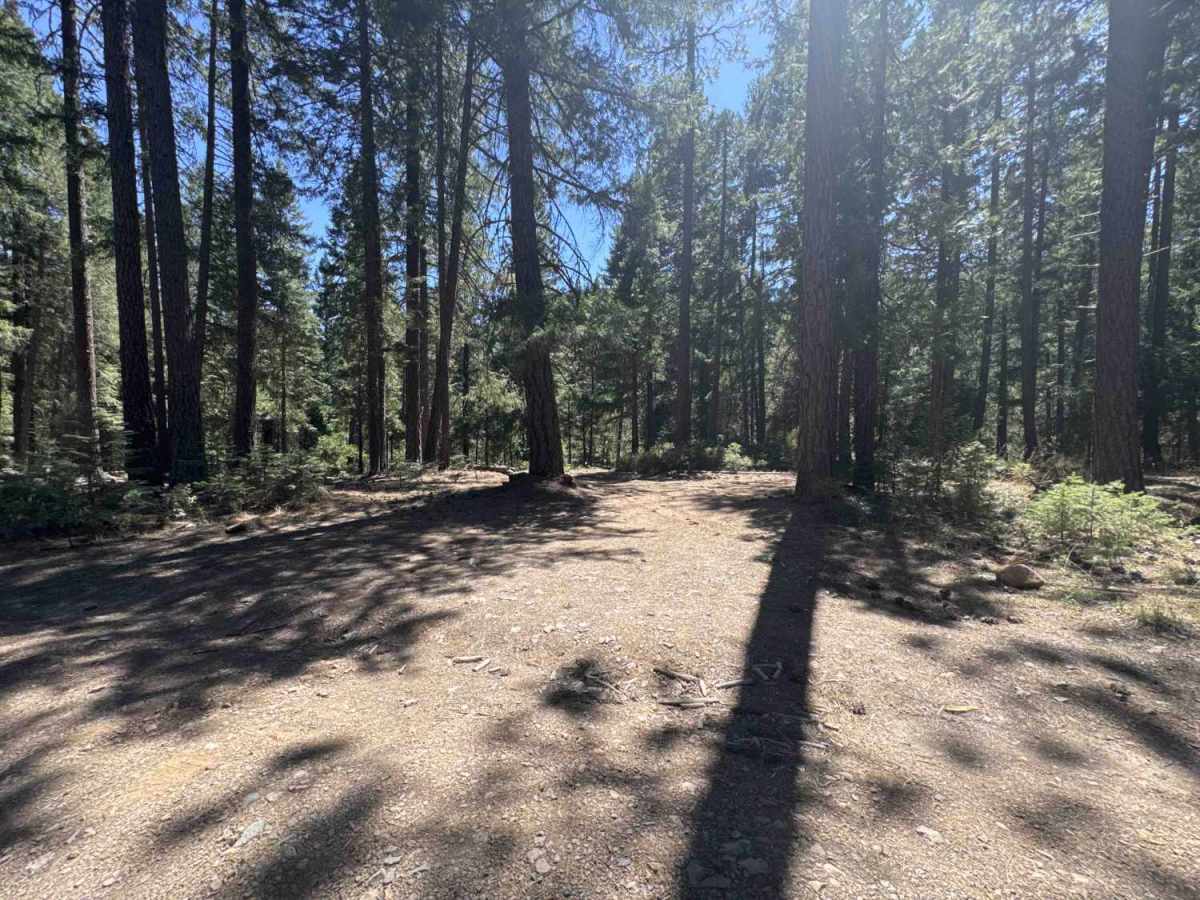 Deer Creek - FS 40N27 photo 6