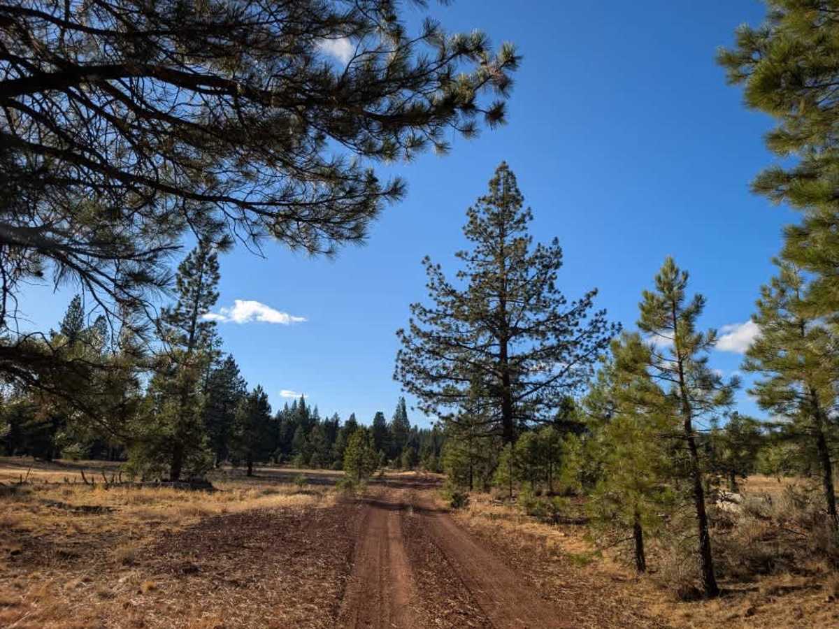 FS 33N62 trail photo
