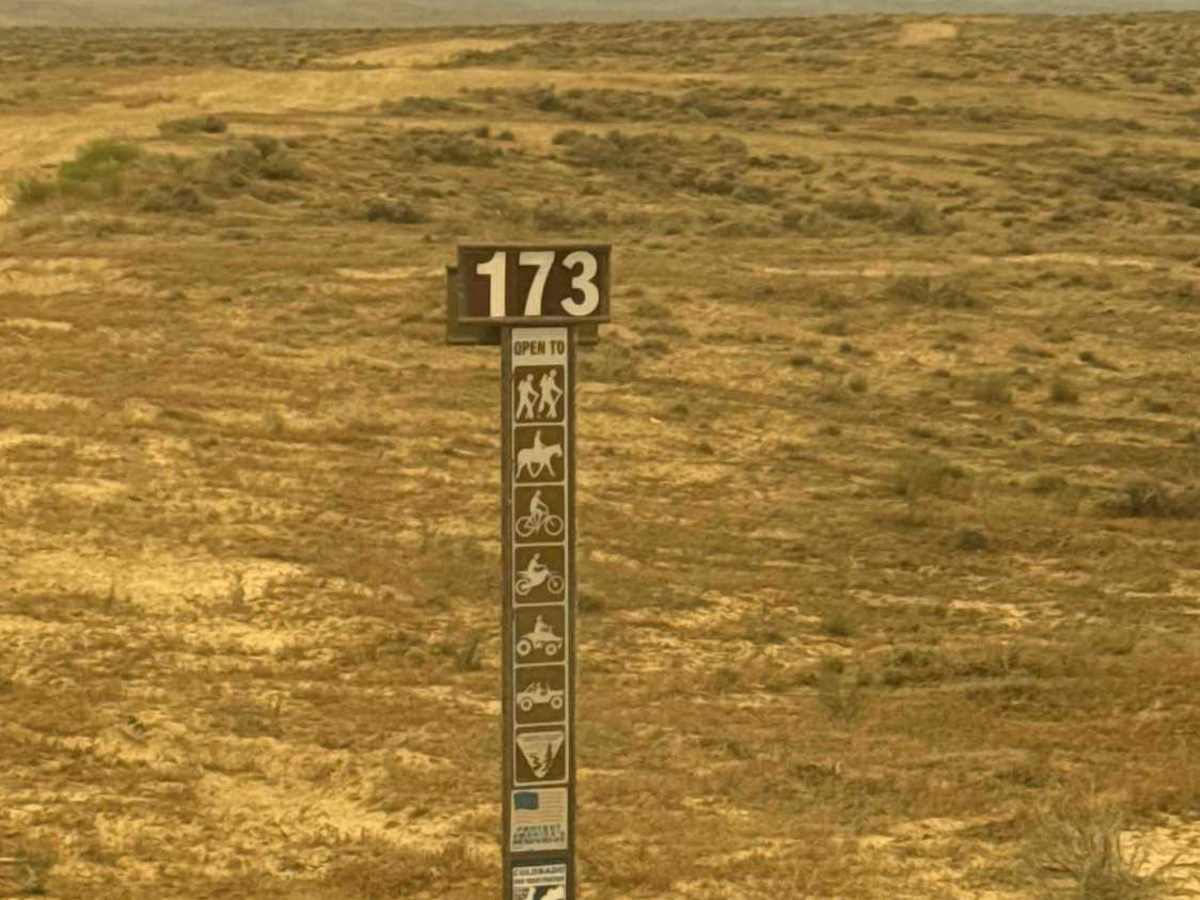 BLM 173 photo 4