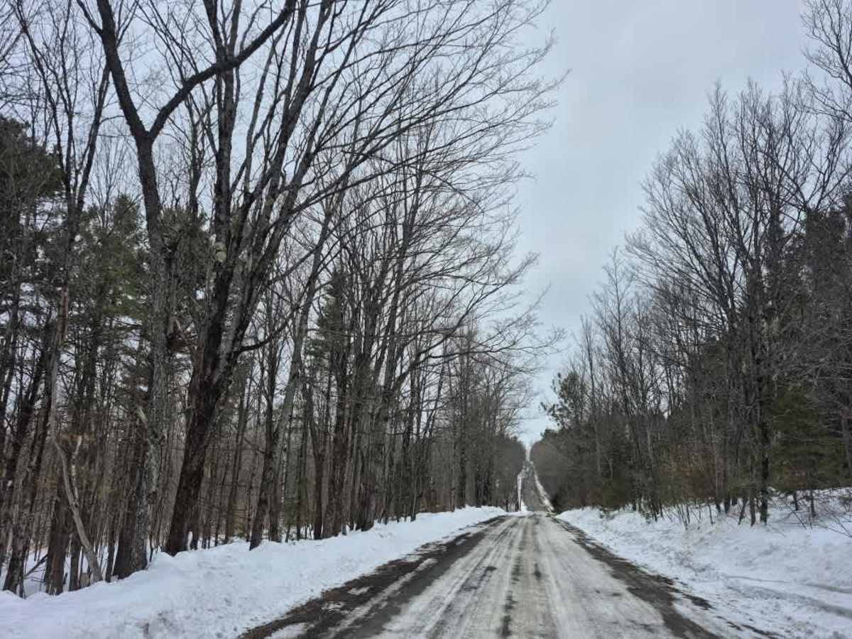 Partridge Run photo 3