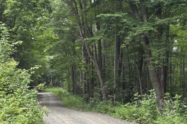 Chestnut Ridge Road