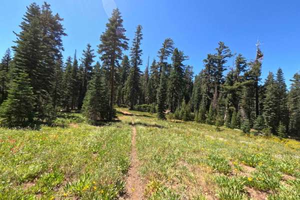 Claycroft Ridge Off Highway Vehicle Trail - Upper - FS 11E18