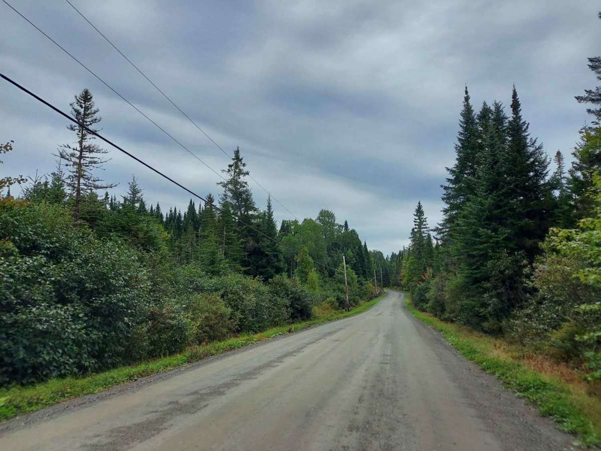 River Road photo 3