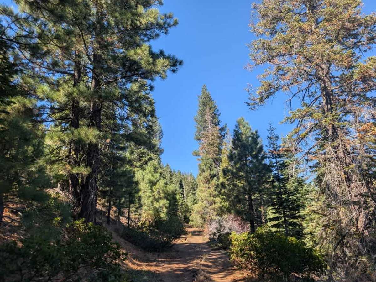 FS 26N35 trail photo