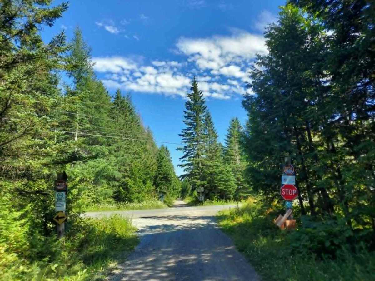 Southern Bangor & Aroostook Upper Trail photo 3