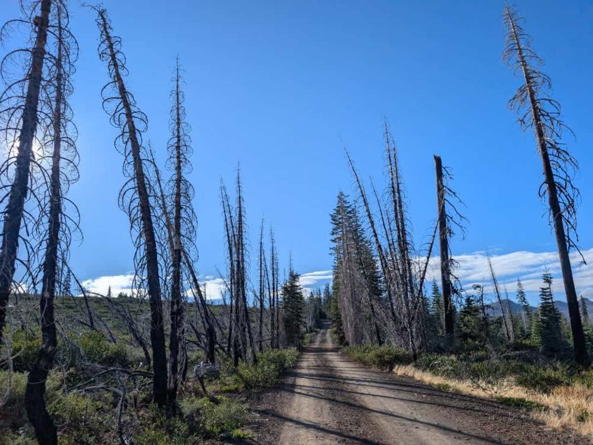 FS 30N32 trail photo