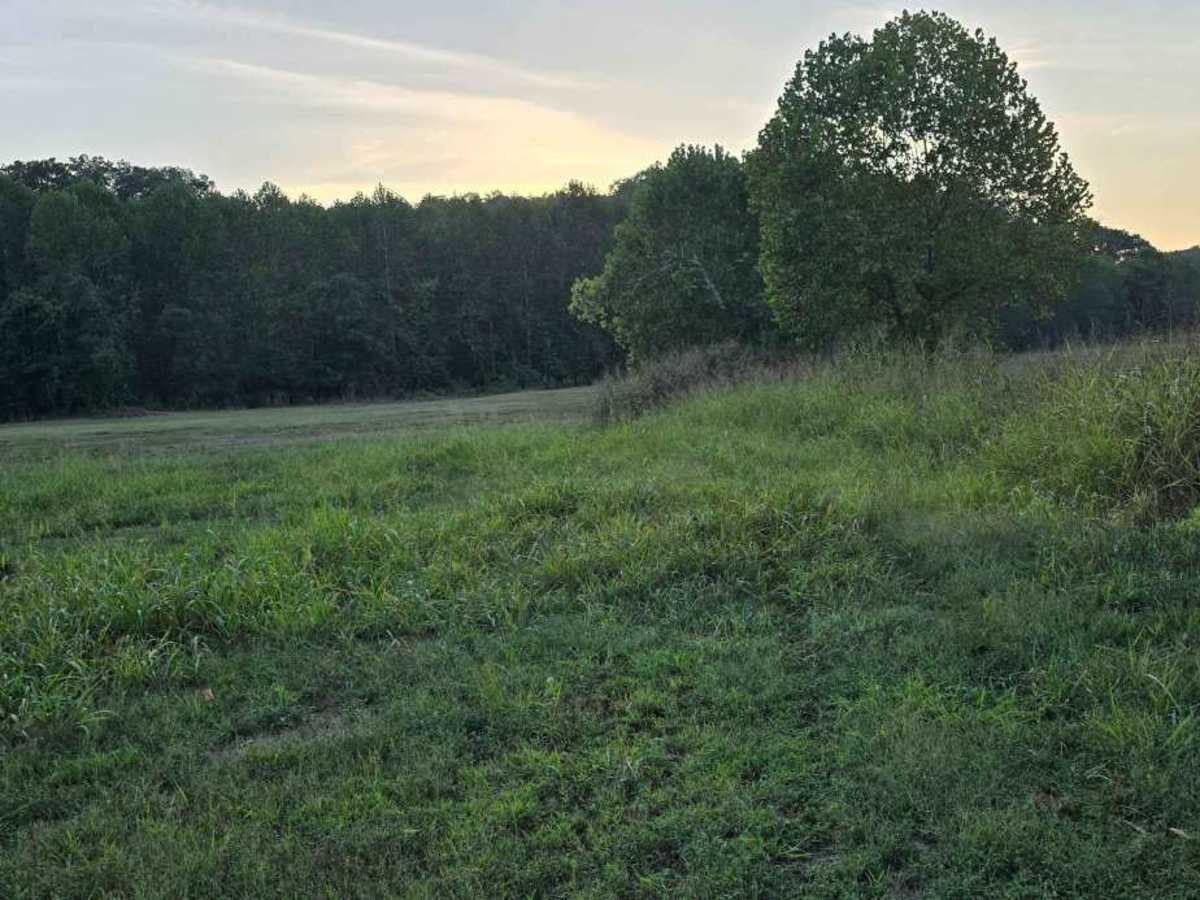 Lower Field Trail photo 4