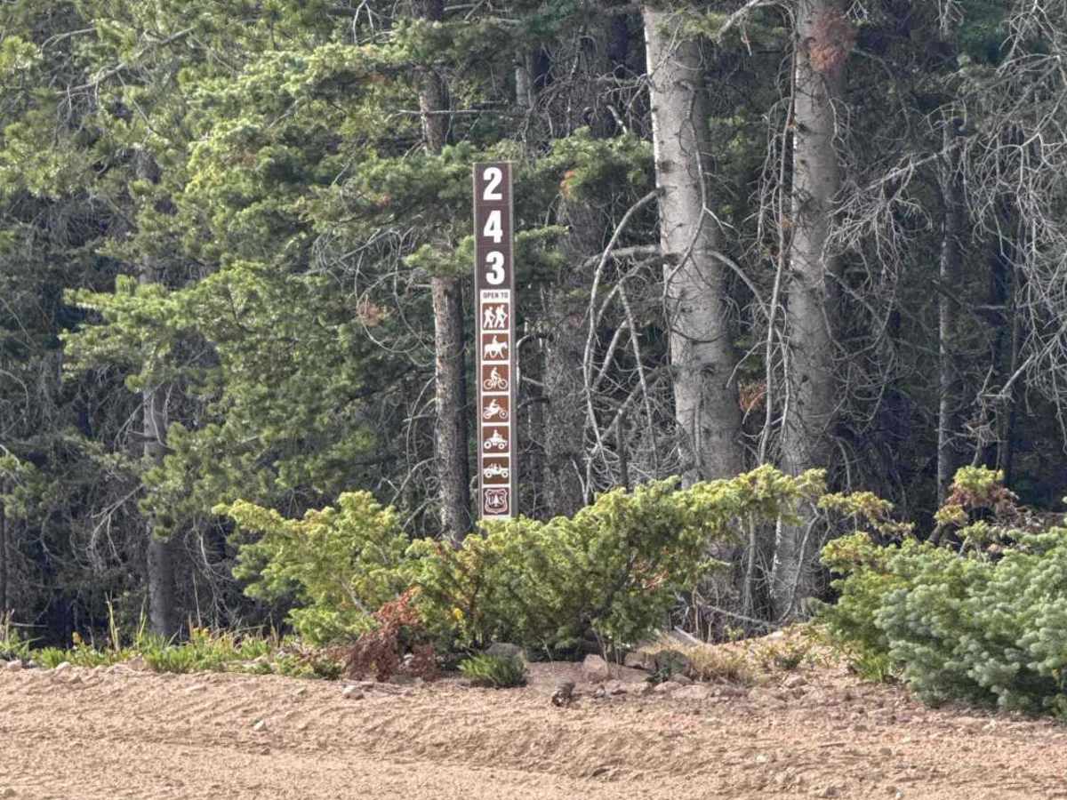 Gore Creek Road - FS 243 photo 5
