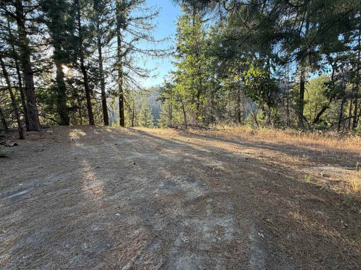 Trough Ridge Spur A - FS 24N05A photo 3
