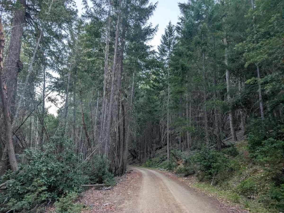 FS 1S01 trail photo