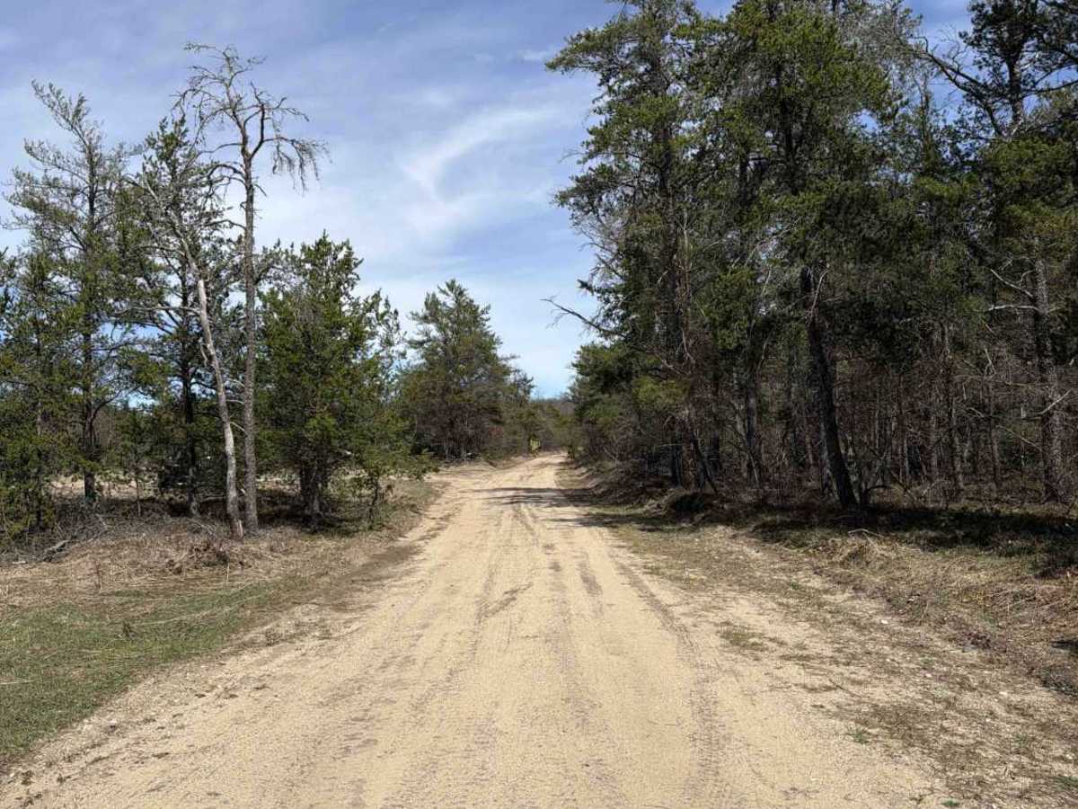 Bucks East & West Truck Trail trail photo