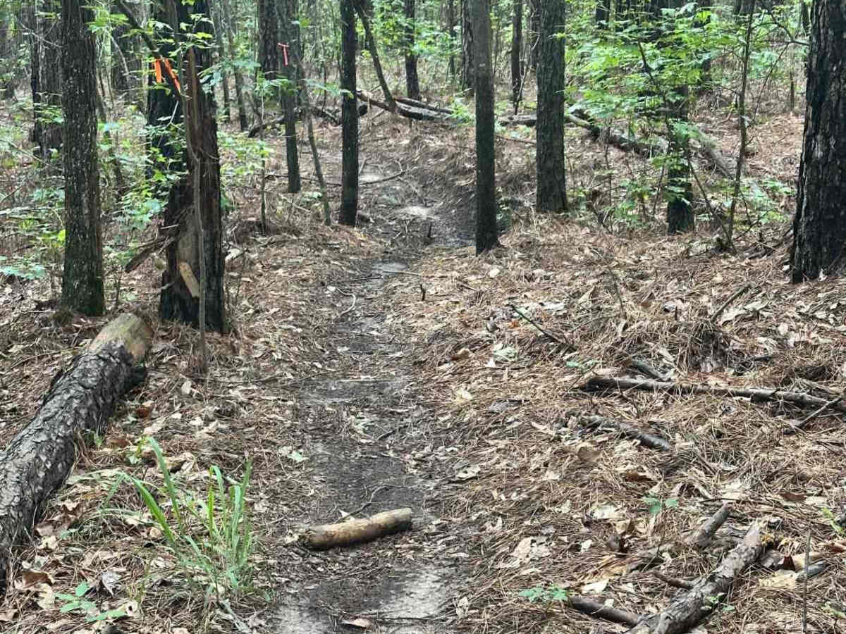 Soo Sassy trail photo