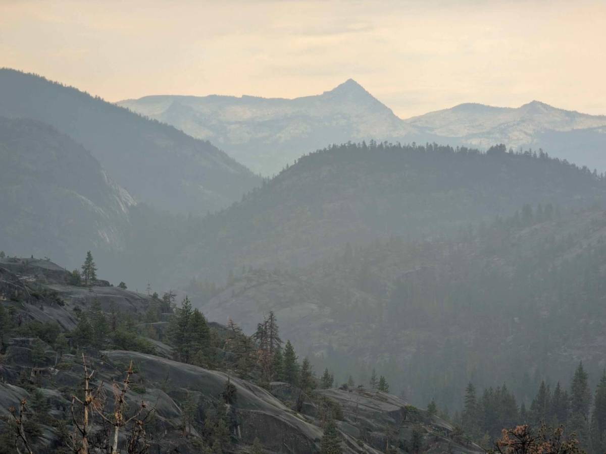 Bear Diversion OHV Route - FS 6S083 trail photo