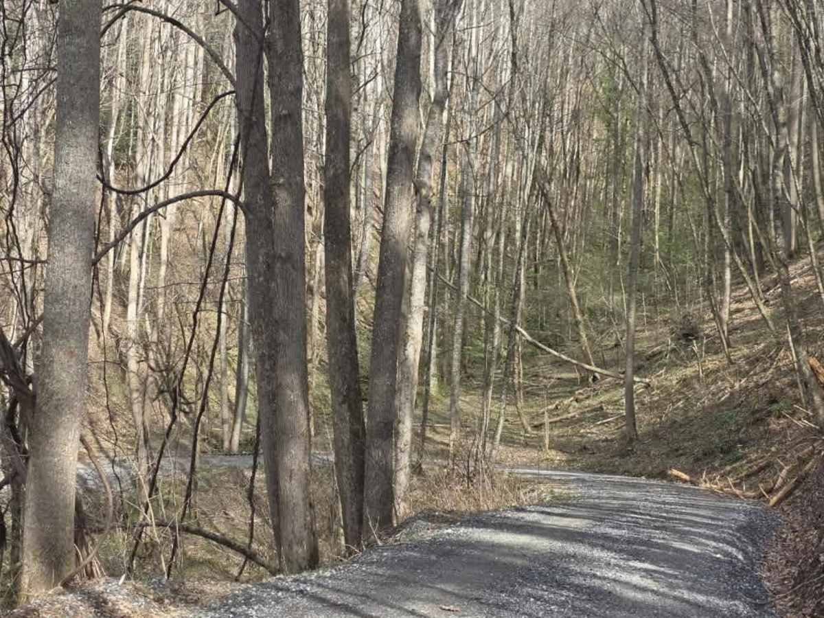 Sugarloaf Mountain Road photo 4