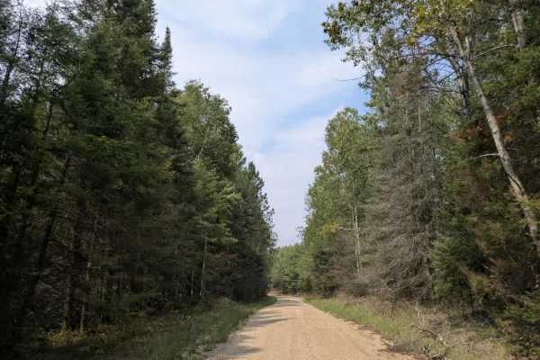 Ash Lake Road