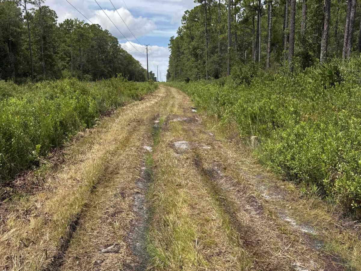 South Powerline Road trail photo