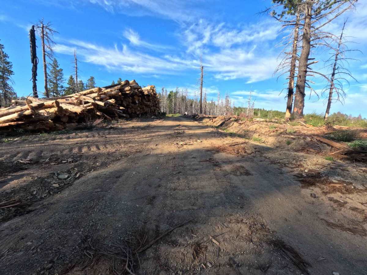 Trough Ridge - FS 24N05 photo 2