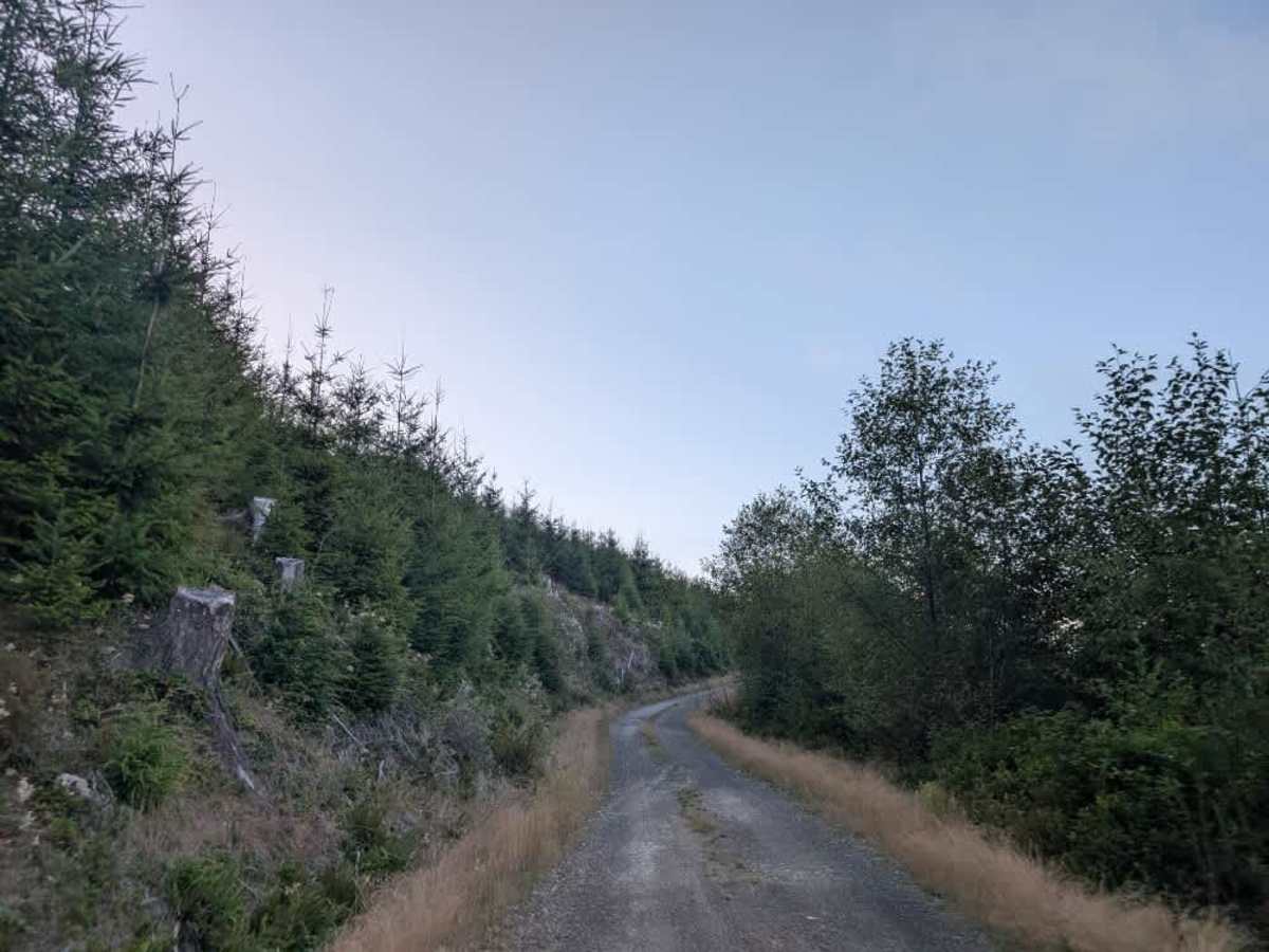 FS 1014 trail photo