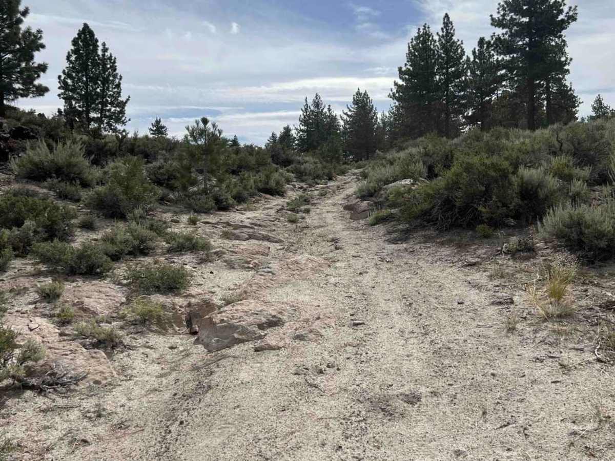 FS 04S40T trail photo