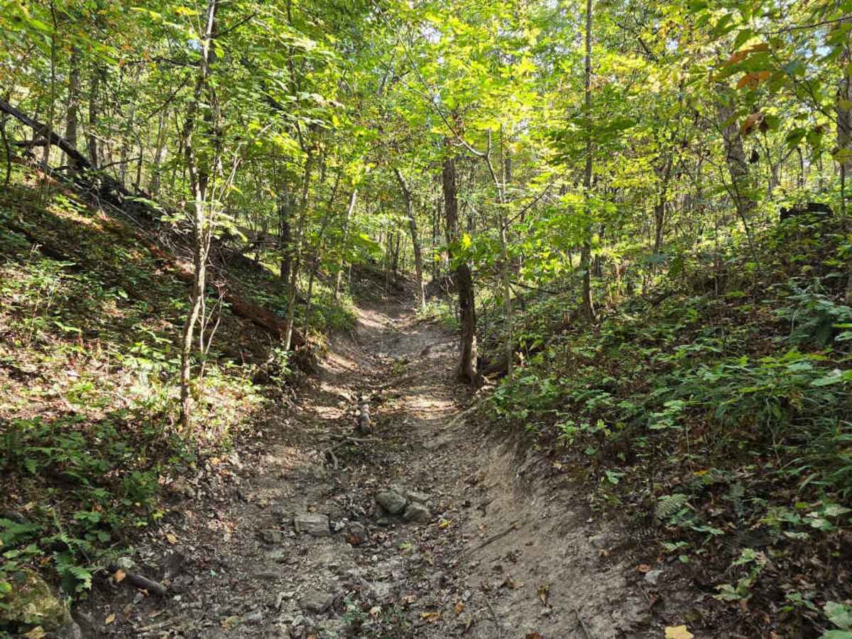 Turtle Trail photo 6