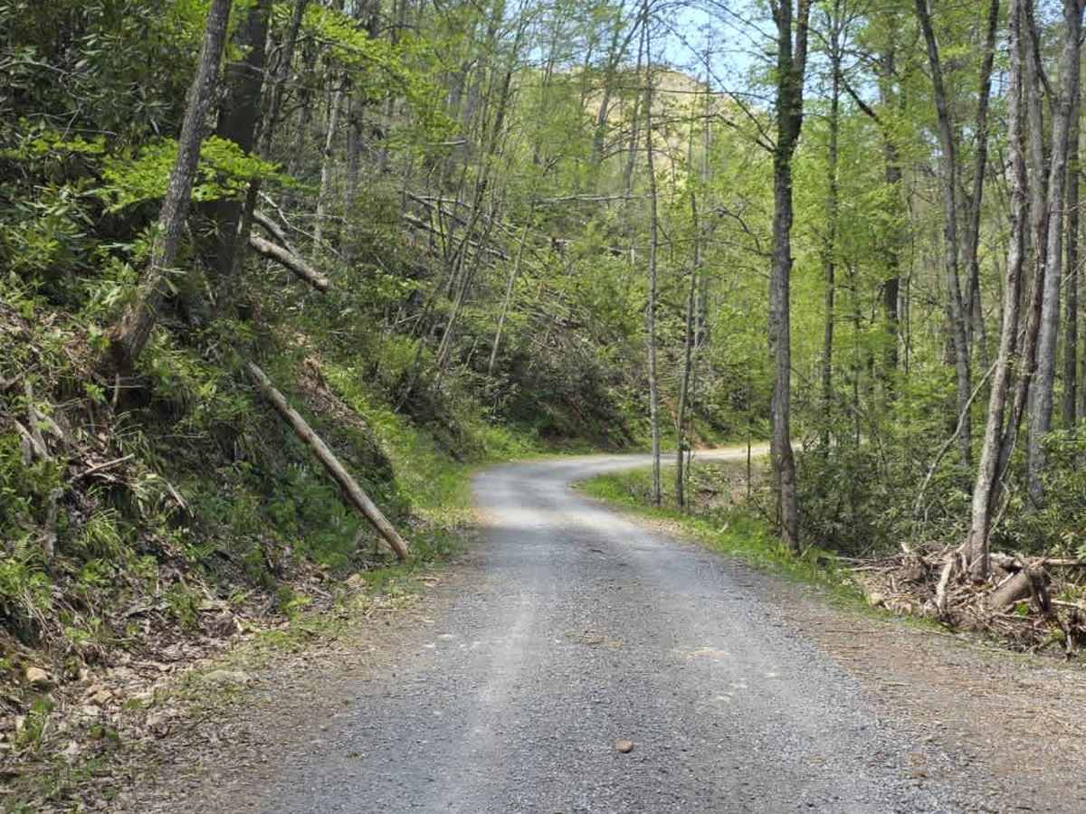 Panhandle Road photo 3