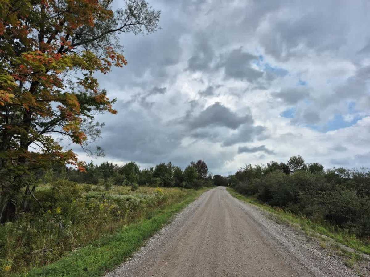 Neff Road photo 2