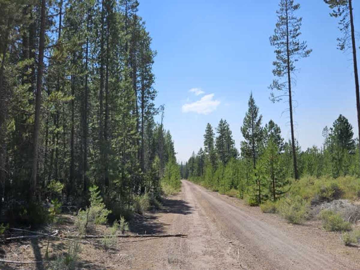 Davis Flat photo 3