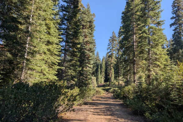 Willow Creek Road 