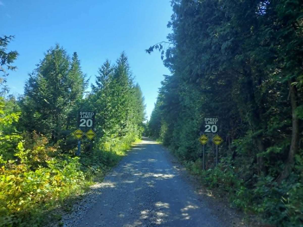 Southern Bangor & Aroostook Upper Trail photo 5