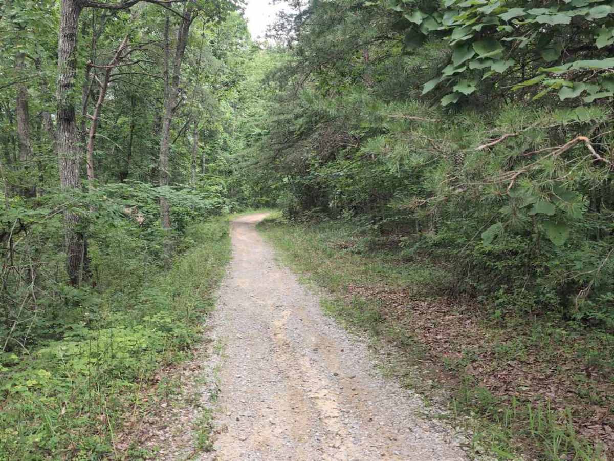Sheltowee Trace West photo 4