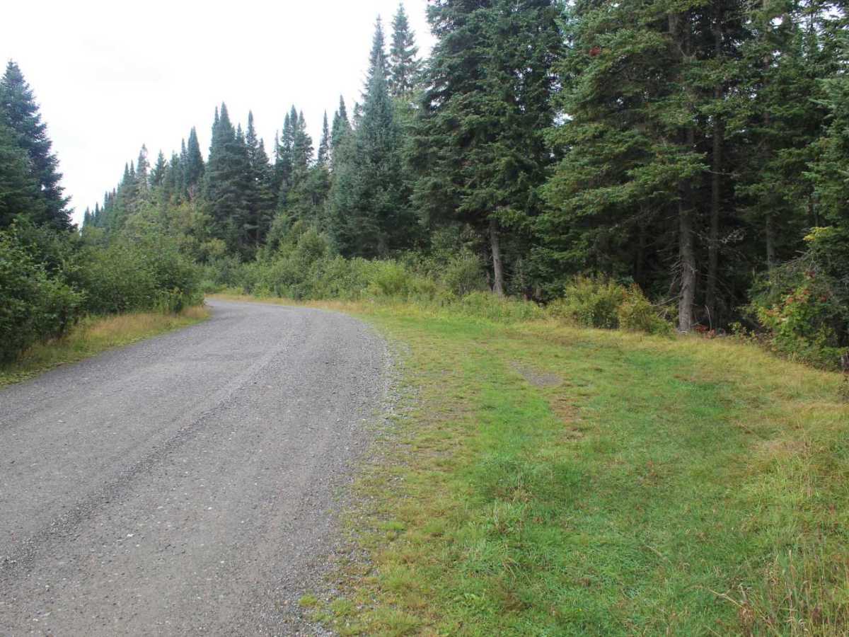 Perry Stream Road photo 5