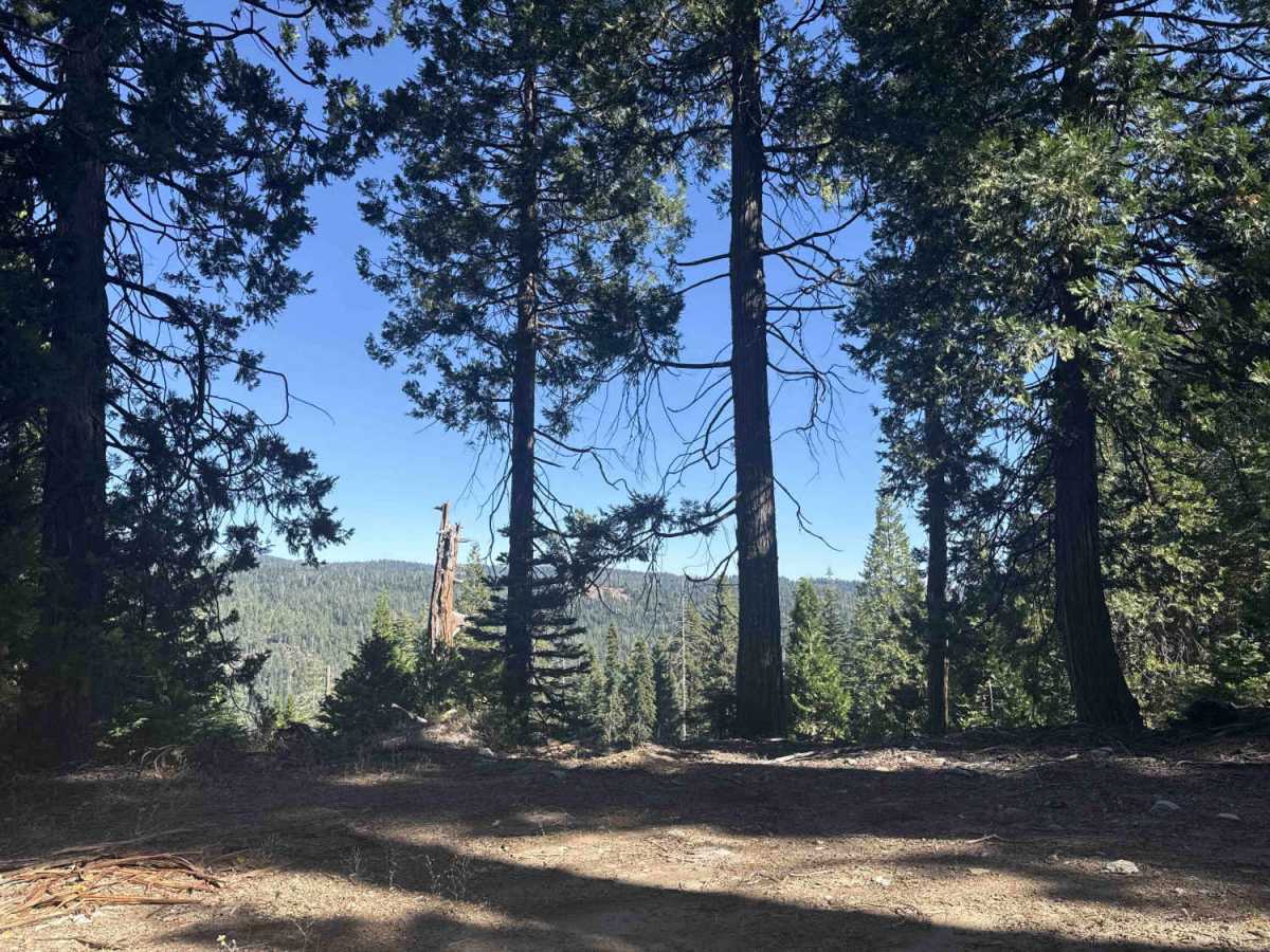 FS 6N81Y trail photo