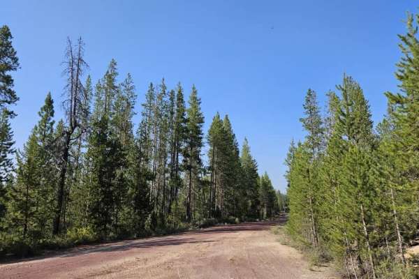 Davis Flat