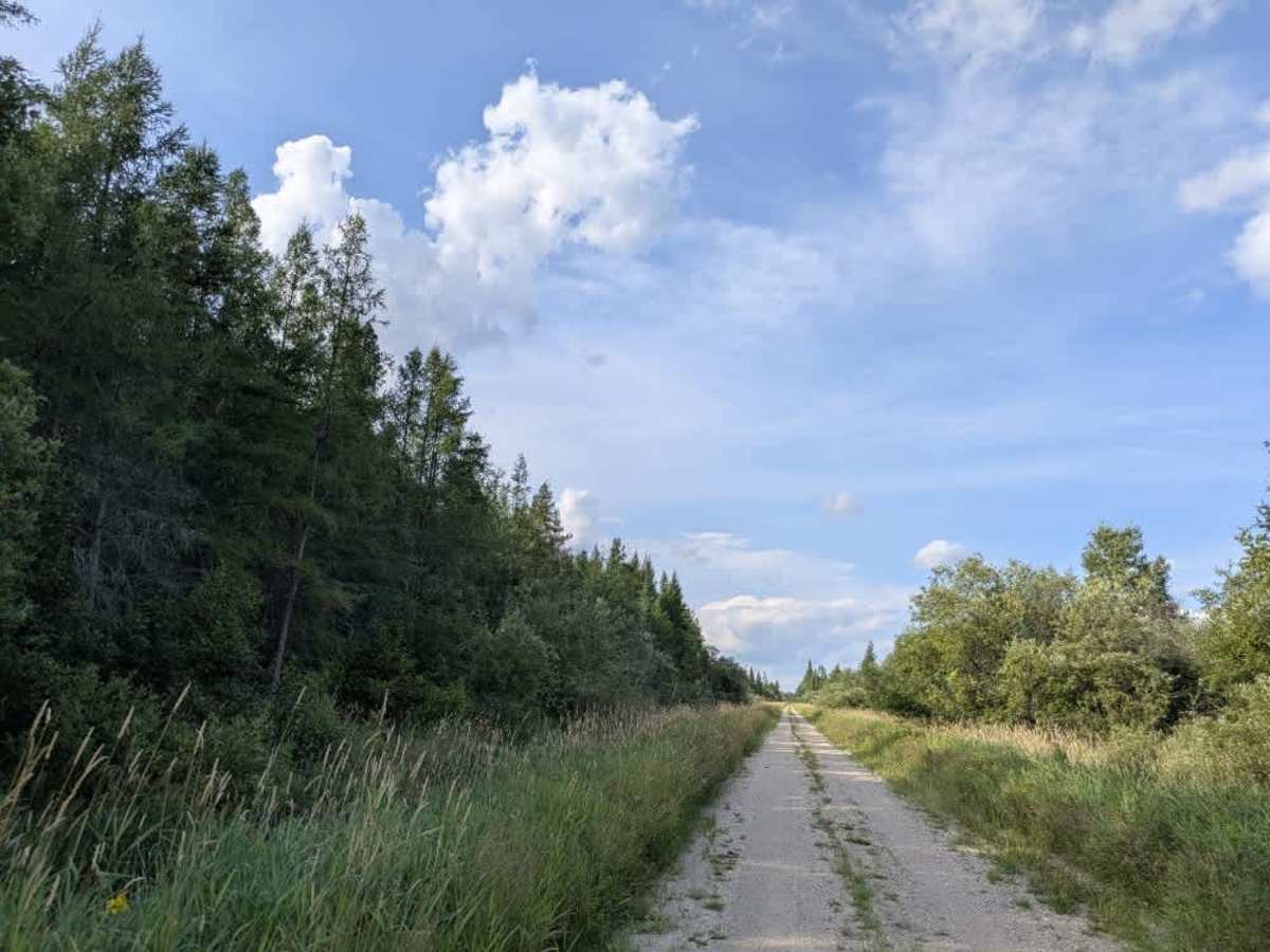 Faunce Forest Road photo 3