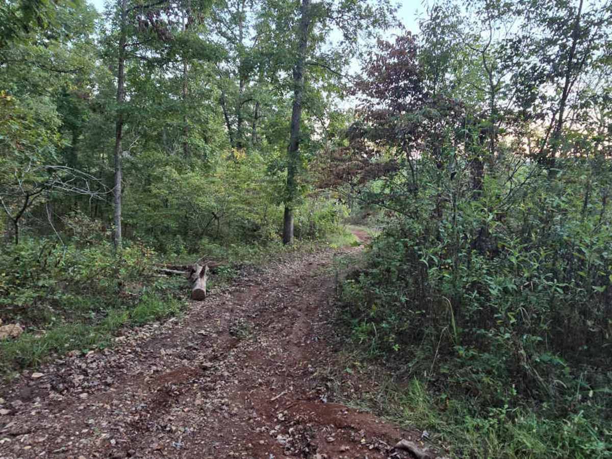 Chimney Trail Bypass photo 5