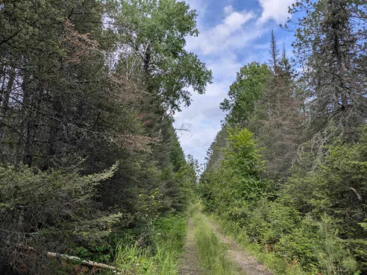 Forest Service Road 406 photo 2