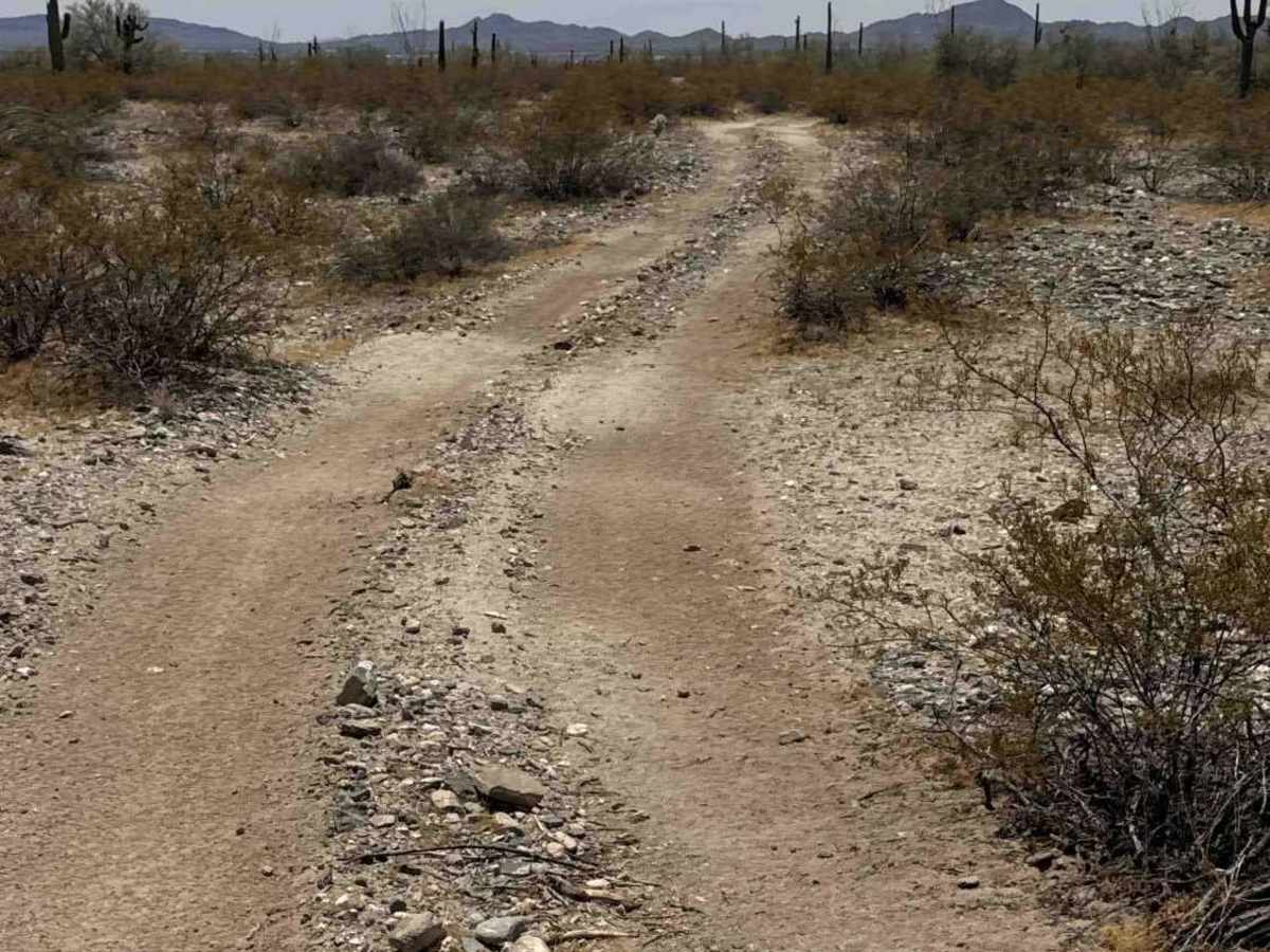 Creosote Run photo 3