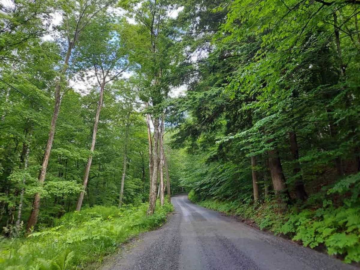 Webster Hill Road photo 3