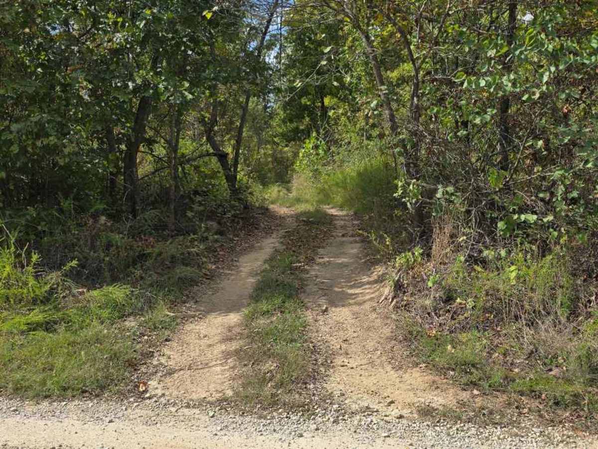 Fresno Trail trail photo