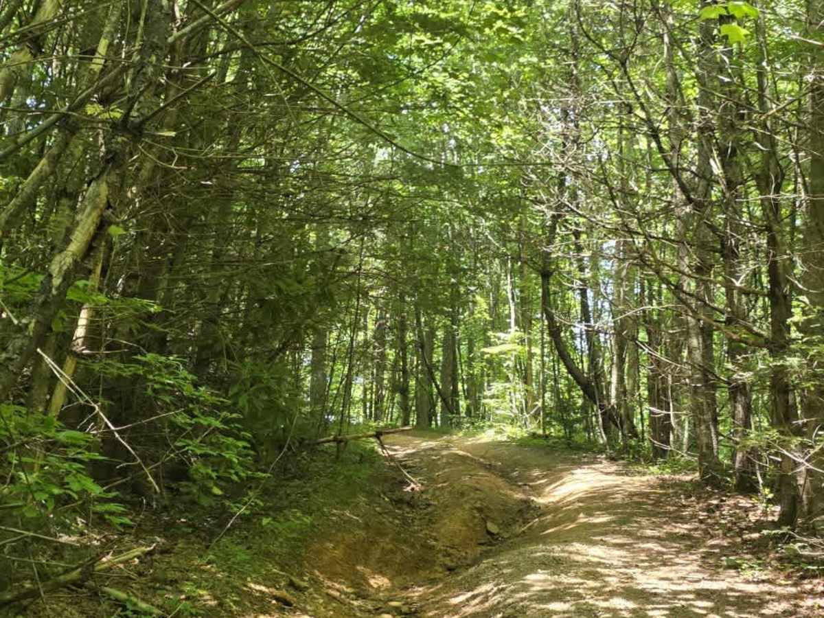 Locust Thorn Ridge photo 2