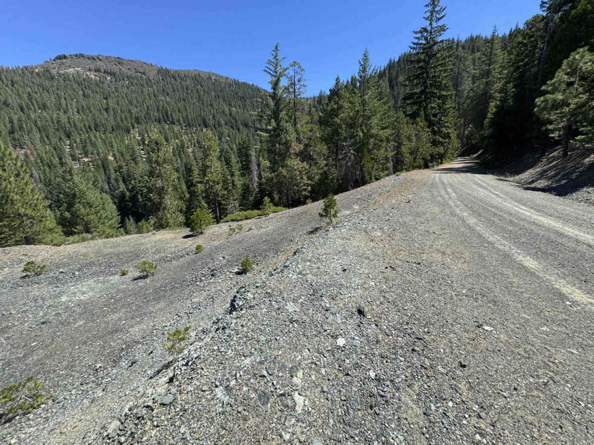 Kangaroo Creek - FS 40N08 photo 6