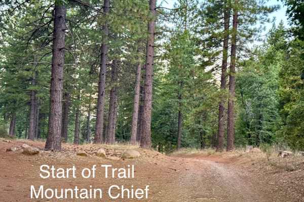 Mountain Chief - FS 10-006