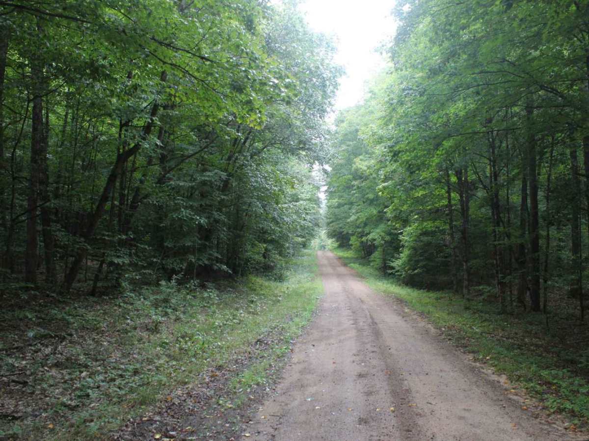 Otter Creek Trail photo 3